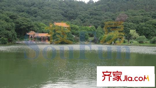 锦林山庄距离项目100米左右的风景