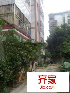 帝登花園外景圖 