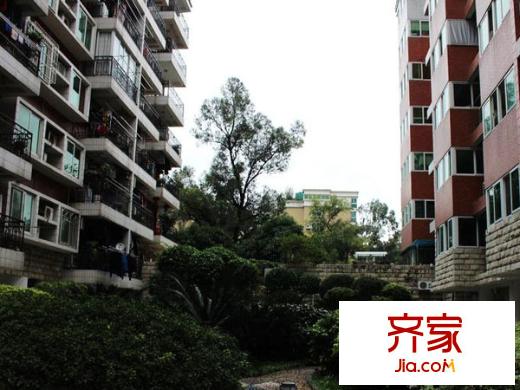 龍泉名府外景圖 