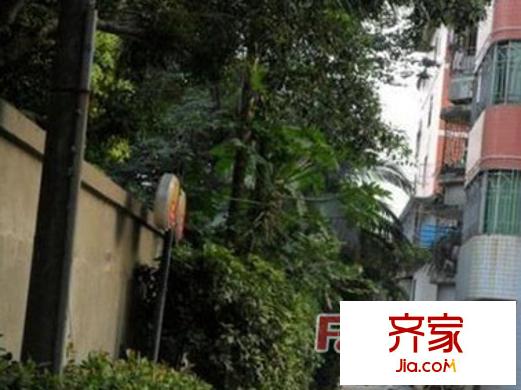交通規(guī)劃設(shè)計(jì)院外景圖 