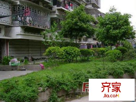 新興新村外景圖 