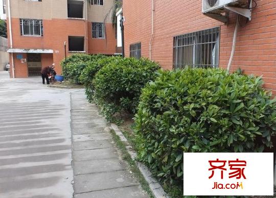 福藤苑外景圖 