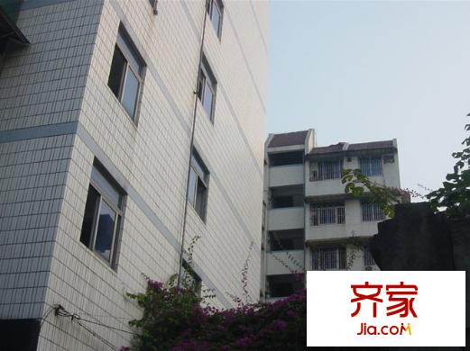 茶園山新村外景圖 