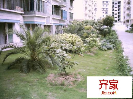 空港公寓外景圖 