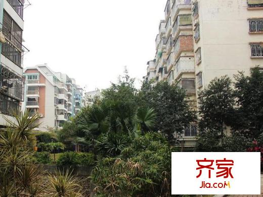 榕信東苑外景圖 