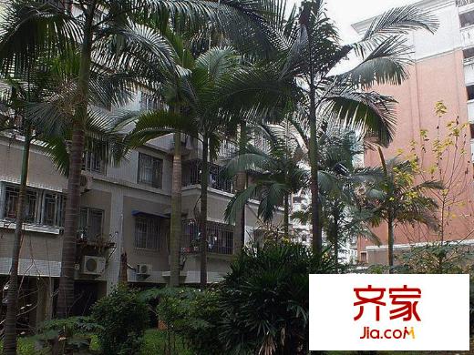 高校小區(qū)外景圖 