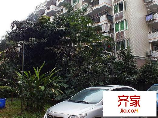 高校小區(qū)外景圖 