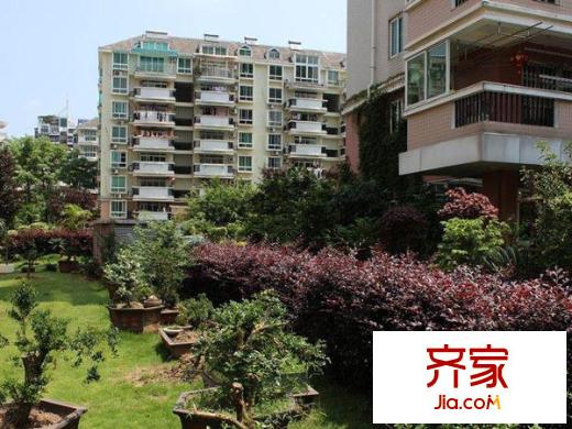 金山碧水一期雨桐苑外景圖 