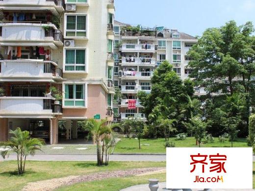 金山碧水一期雨桐苑外景圖 