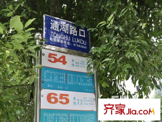 青鳥世紀(jì)配套圖 周邊