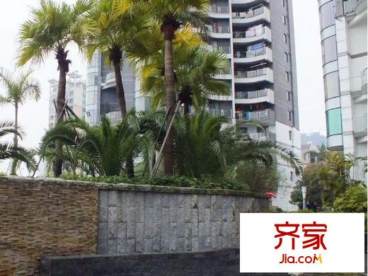 心家泊外景圖 