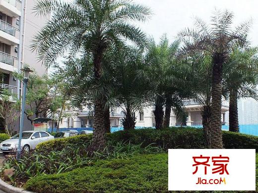 羅馬佳洲外景圖 