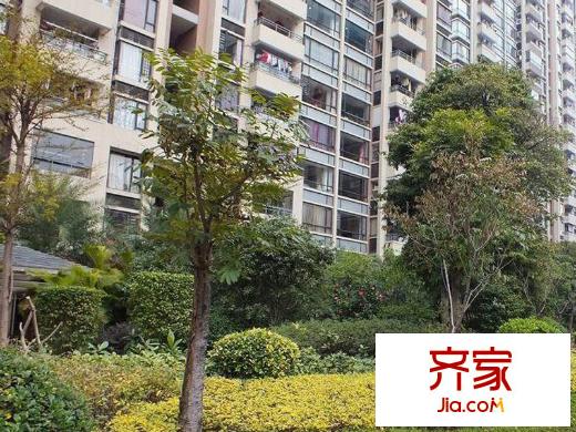 棕櫚泉國際花園外景圖 