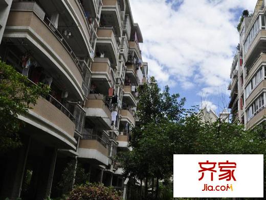 君臨東城外景圖163423662f00w201g