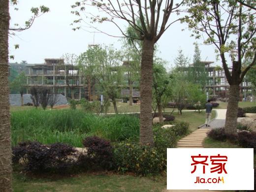 湖墅觀止別墅實景圖小區(qū)園林實景（20100525）