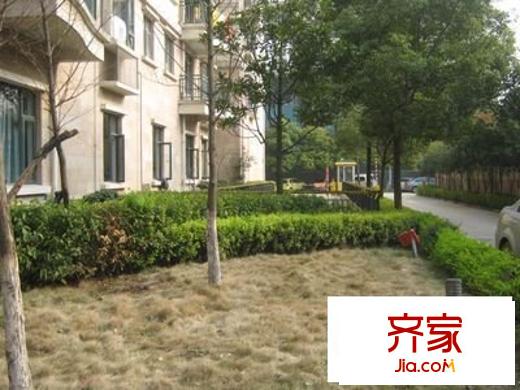 天梨豪園三期外景圖傳奇 