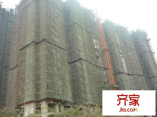 長(zhǎng)江楚韻工程進(jìn)度（2013.1.31）