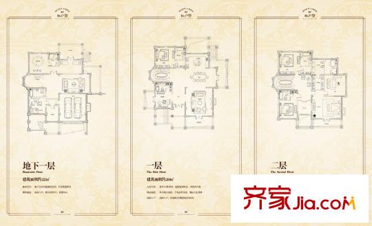 天泰藍(lán)泉?jiǎng)e墅BS戶型 6室4廳6衛(wèi)1廚