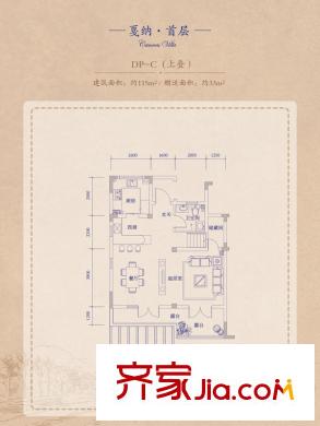安納溪VILLA1-10#DP-C上疊首層戶型圖 1室2廳2衛(wèi)2廚