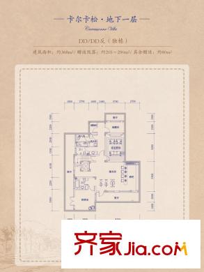 安納溪VILLA1、2、3、4#獨棟DD/DD反地下一層戶型圖 5室4廳7衛(wèi)2廚