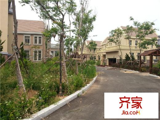 金山丁字灣藍(lán)海香灣