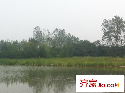 珠山秀谷?御墅周邊配套之百畝湖