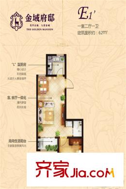 金域府邸3、4號(hào)樓E1戶型圖 1室1廳1衛(wèi)1廚