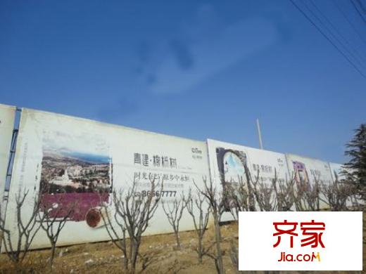 青建橄欖樹實(shí)景圖工程進(jìn)展（20130217）