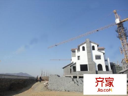青建橄欖樹實(shí)景圖工程進(jìn)展（20130217）