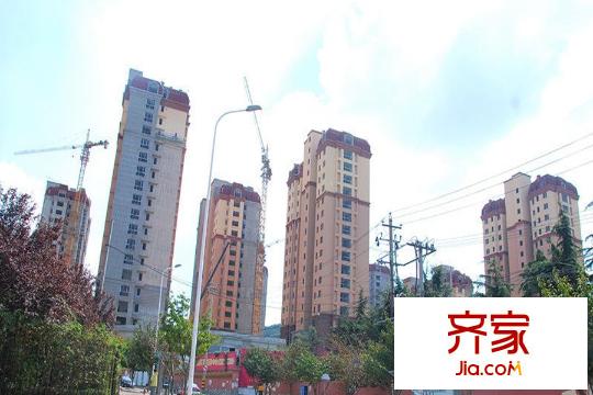 青實櫻花郡（2015-9-17）