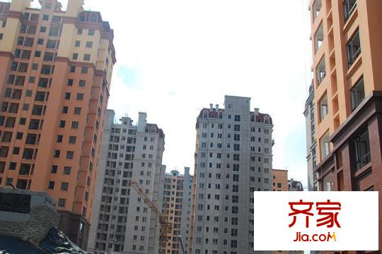 青實櫻花郡（2015-9-17）