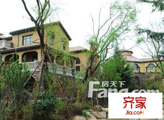 青建橄欖樹外景圖 