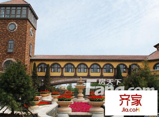 青建橄欖樹外景圖 