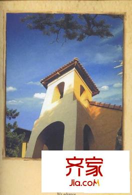 青建橄欖樹外景圖效果圖