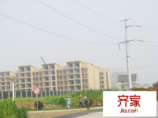 金東城雅居外景圖 