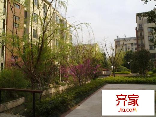 東郊小鎮(zhèn)小小家外景圖
