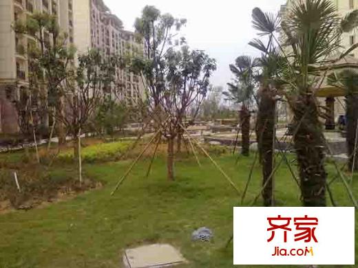 青山灣外景圖
