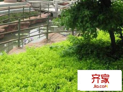 黃埔花園外景圖 