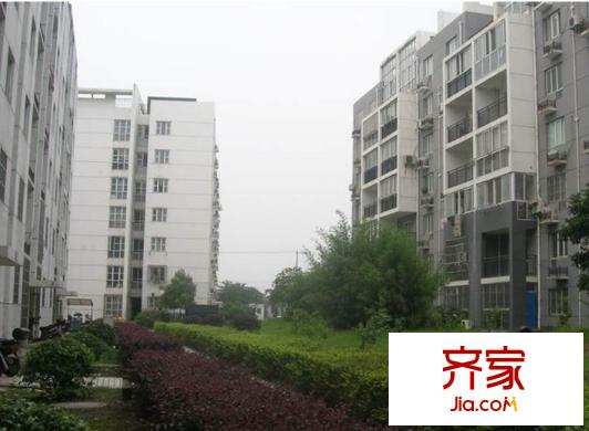 頤家春天外景圖