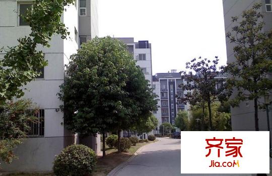 頤家春天外景圖
