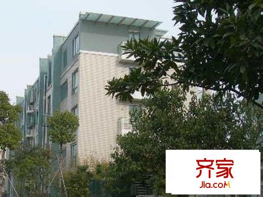 萊茵東郡外景圖 
