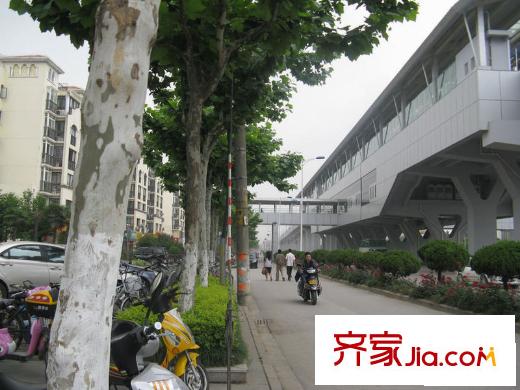 萊茵東郡配套圖周邊地鐵天印大道站