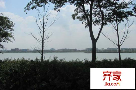 碧湖天辰實(shí)景 （2015-3-19）