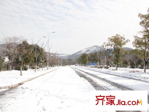鴻德紫谷配套圖項(xiàng)目南面緊挨的道路