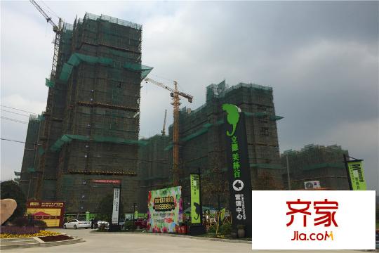 立德美林谷小區(qū)入口在建樓棟（2015-03-30）