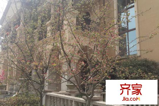 東紫園別墅區(qū)綠化一角（2015-08-05）