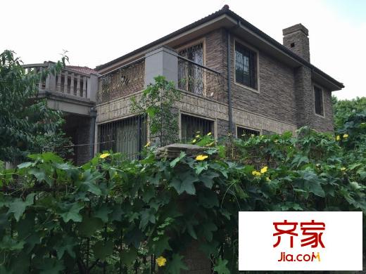 龍珠山莊外景圖