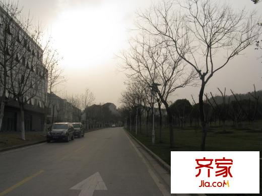 翠海名家園外景圖小區(qū)中間翠屏山路（2012.3）