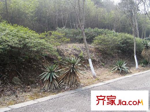 翠海名家園配套圖將軍山（2013.01）