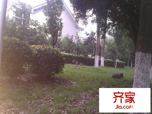 淳東花園外景圖